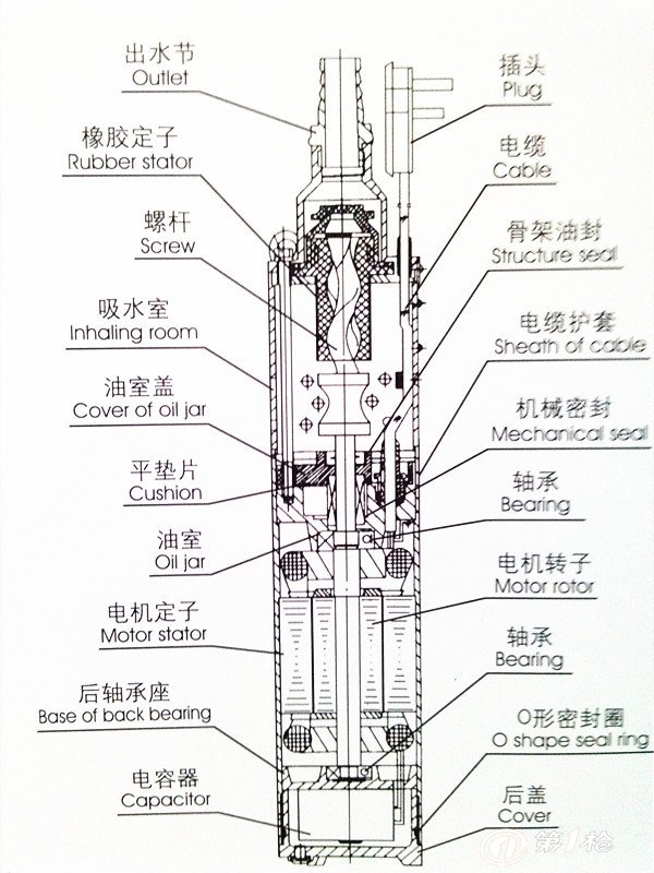 供应qgd不锈钢潜水螺杆泵小型家用高扬程潜水泵油浸式